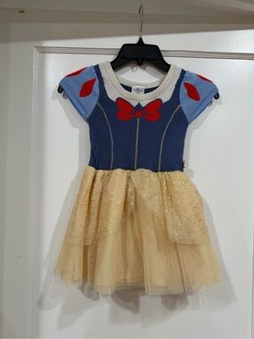 Disney Blue, Red & Gold Princess Tulle Dress Costume